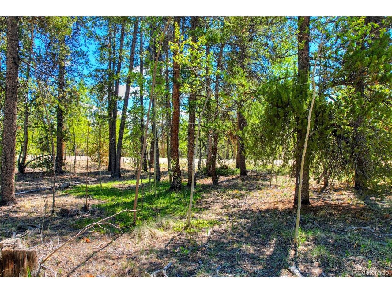 337 Busch Run, Fairplay, CO 80440