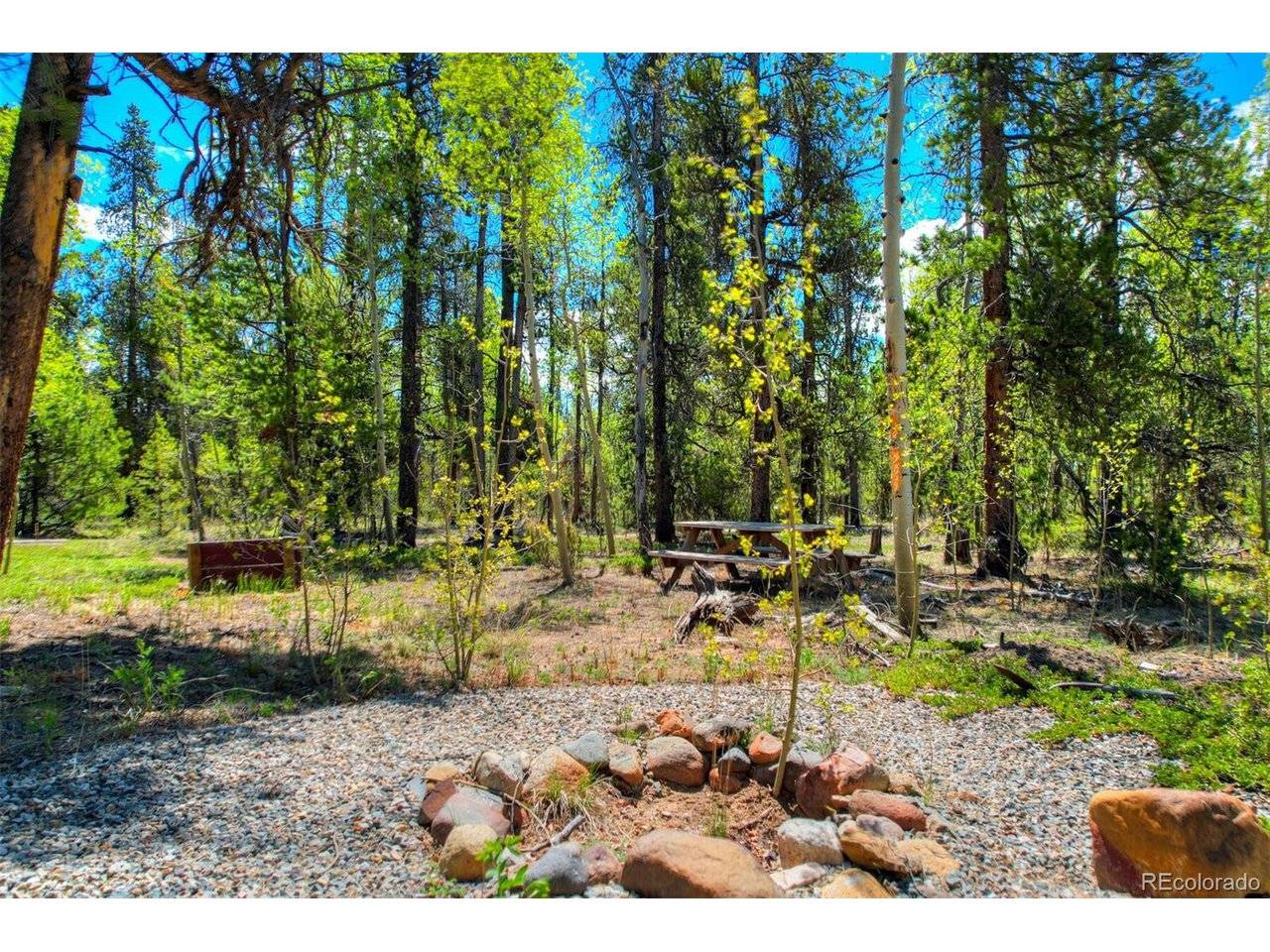 337 Busch Run, Fairplay, CO 80440