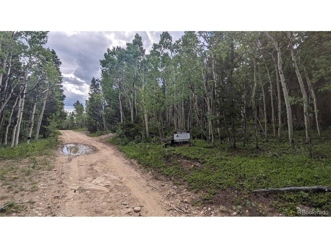 Roy Smith, Central City, CO 80427