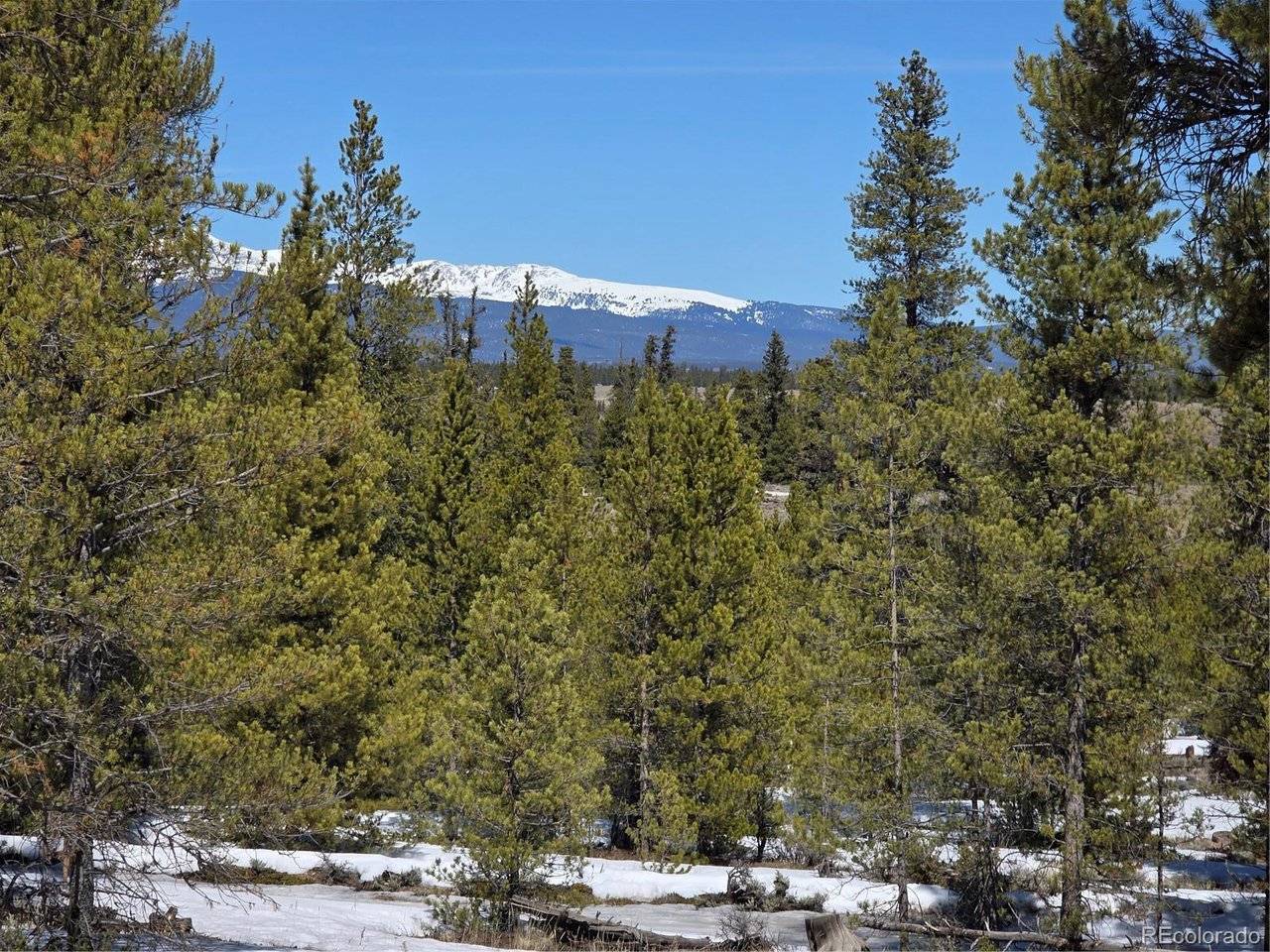 379 Lodgepole, Twin Lakes, CO 81251