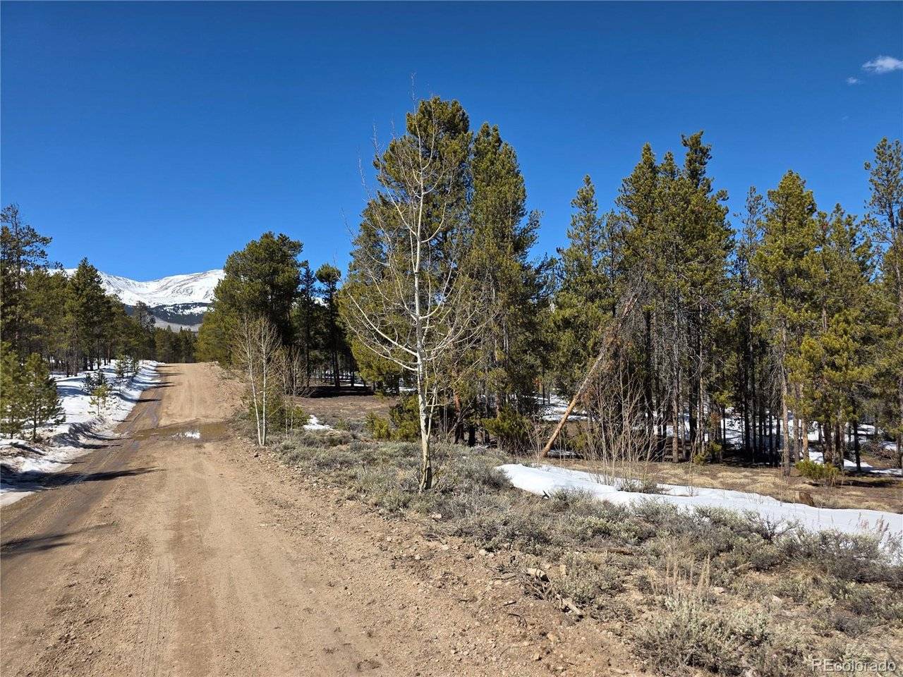 379 Lodgepole, Twin Lakes, CO 81251