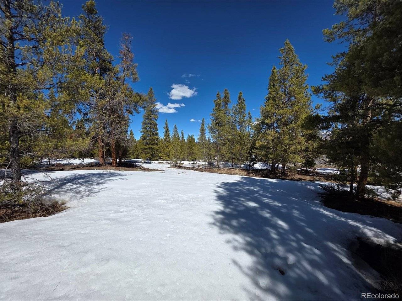 378 Ponderosa, Twin Lakes, CO 81251