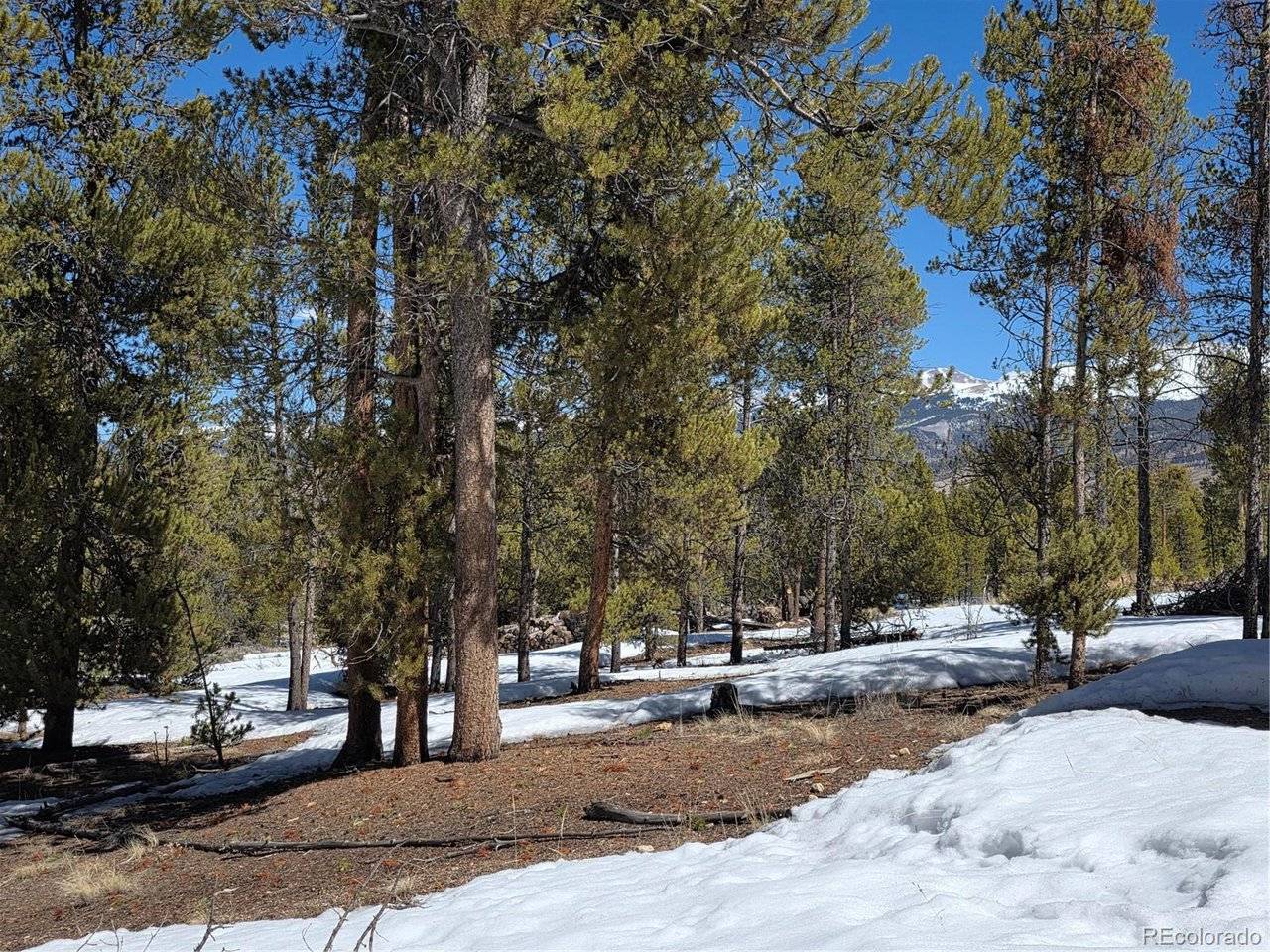 378 Ponderosa, Twin Lakes, CO 81251