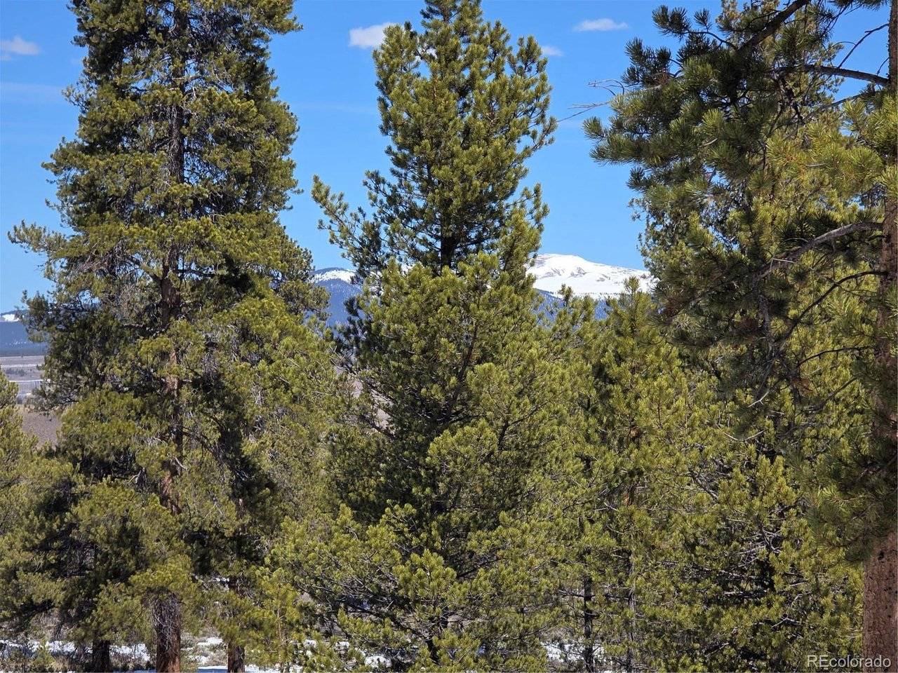 378 Ponderosa, Twin Lakes, CO 81251