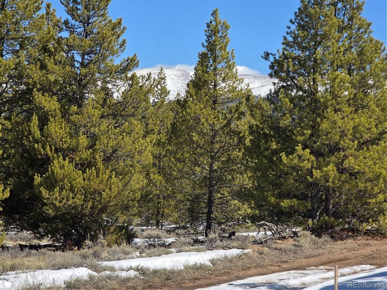 378 Ponderosa, Twin Lakes, CO 81251