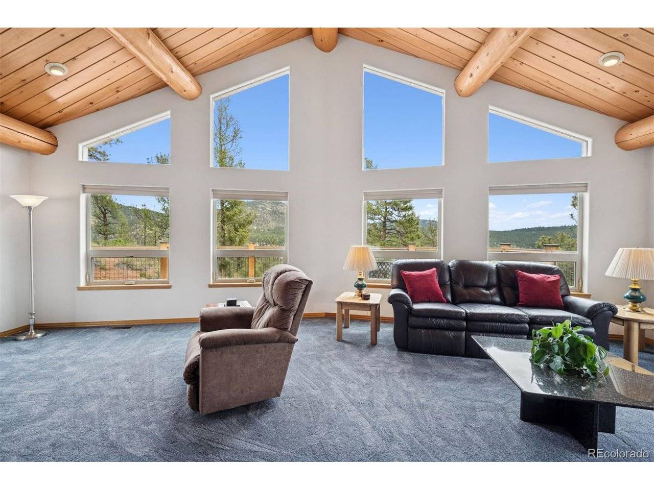 29004 Amerind Springs, Pine, CO 80470