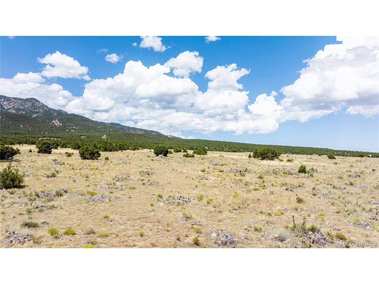 150 651, Rye, CO 81069