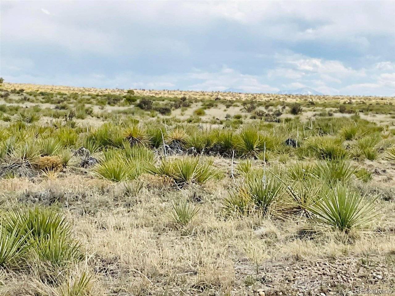 Lot 239 Turkey Ridge Ranch, Walsenburg, CO 81089