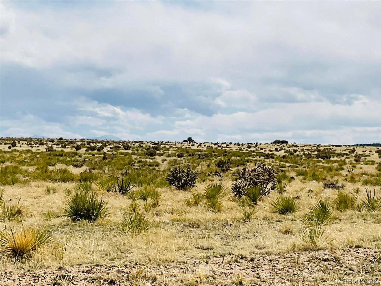 Lot 239 Turkey Ridge Ranch, Walsenburg, CO 81089