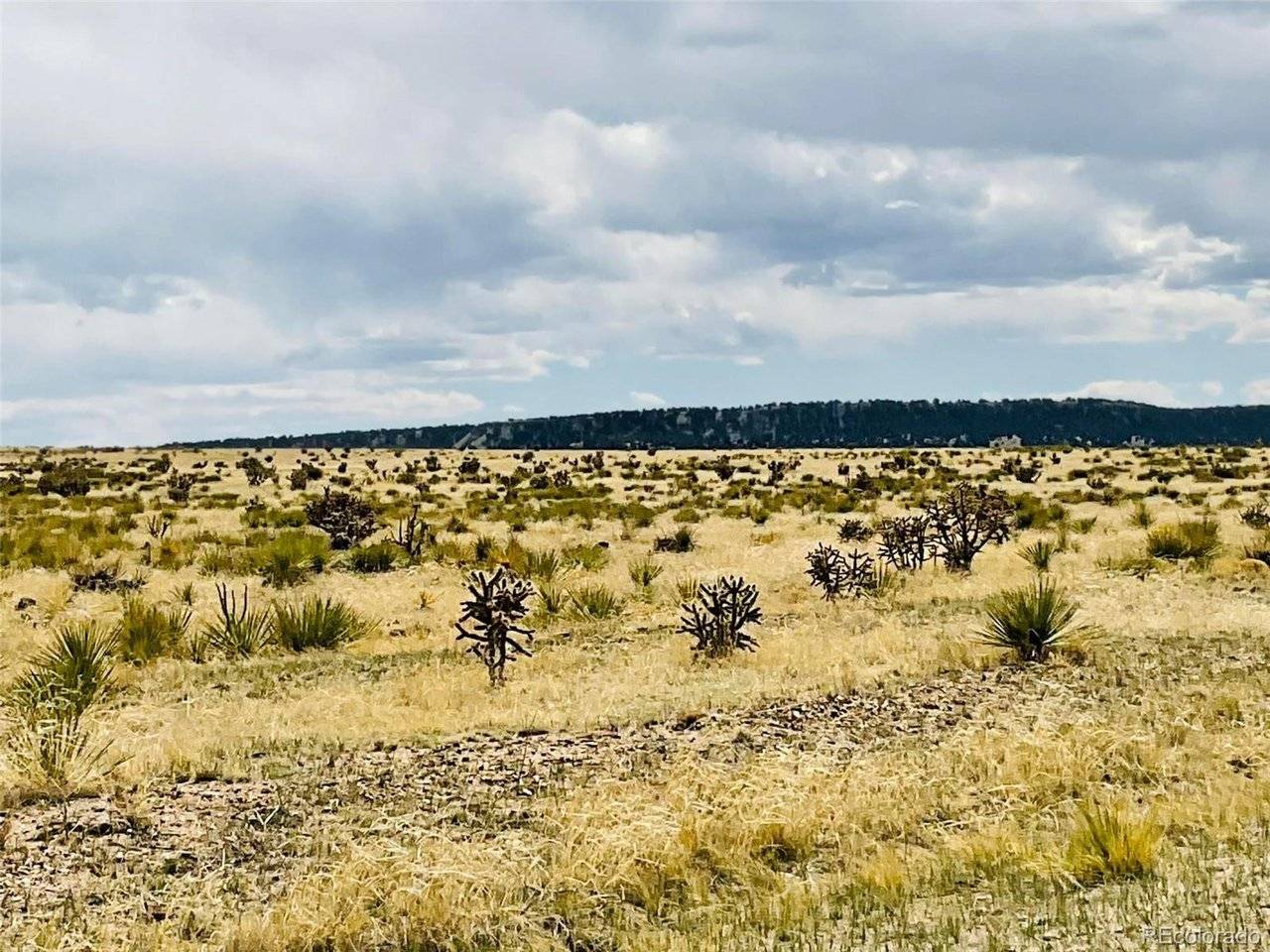 Lot 239 Turkey Ridge Ranch, Walsenburg, CO 81089