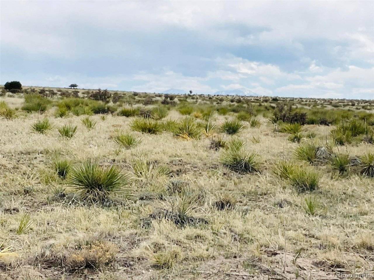 Lot 239 Turkey Ridge Ranch, Walsenburg, CO 81089