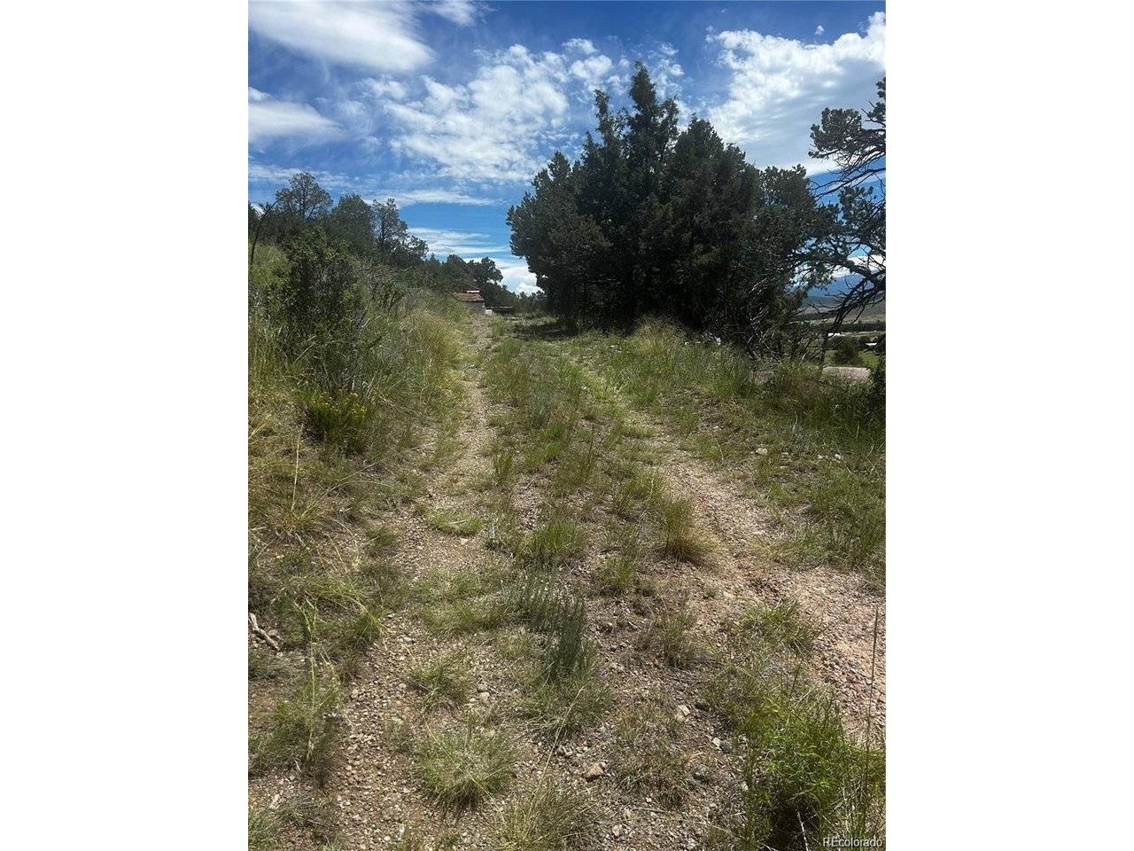 1880 Copper Gulch, Cotopaxi, CO 81223