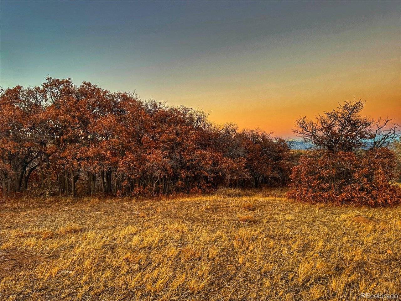 168 Colorado Land and Grazing, Gardner, CO 81040