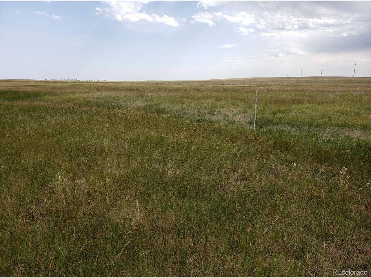 8155 Cowboy Ranch, Peyton, CO 80831