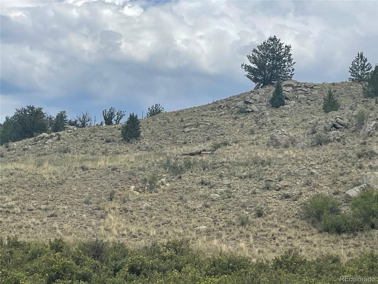 924 Mustang, Como, CO 80432