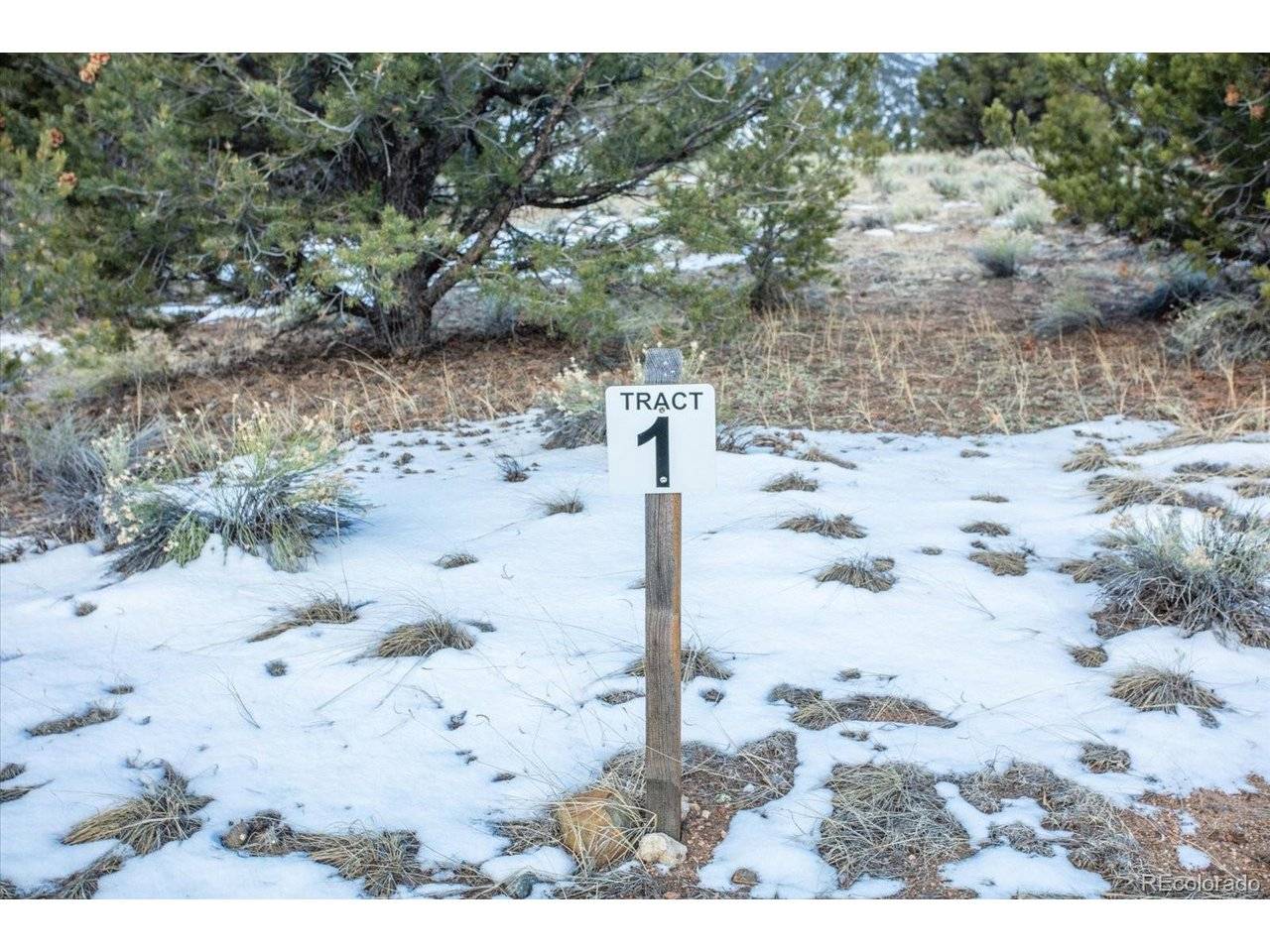 1 Cozart Lane, Salida, CO 81201