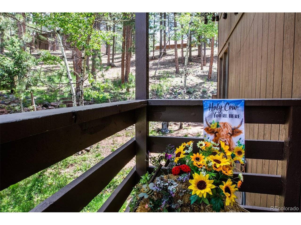 560 Manor, Woodland Park, CO 80863
