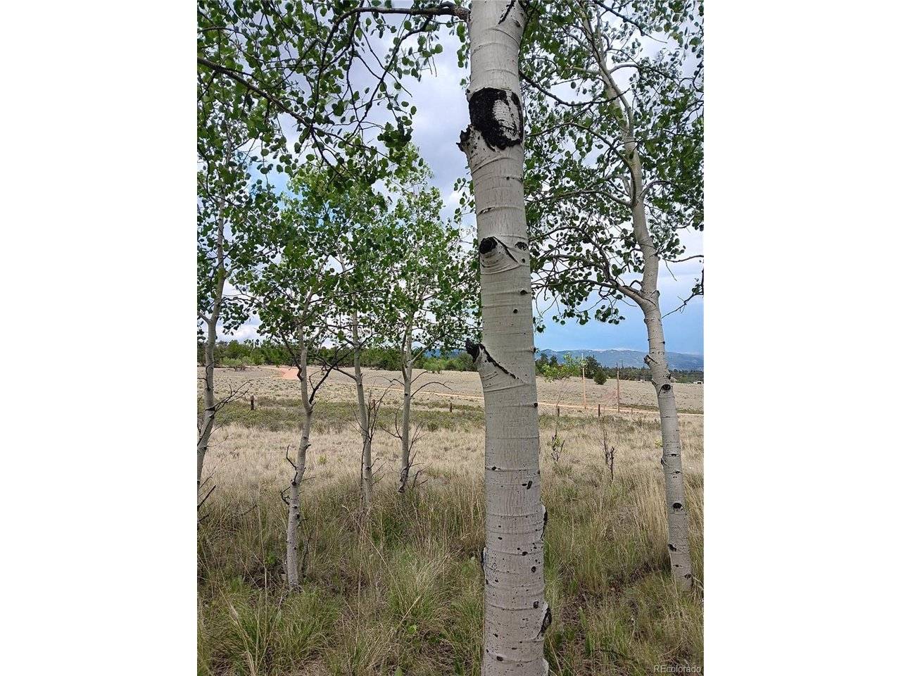 258 Puma, Jefferson, CO 80456
