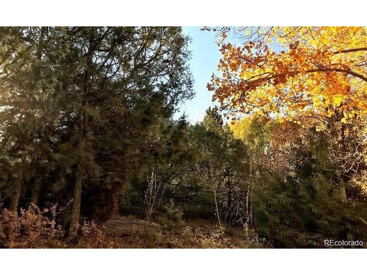 Address not disclosed, Mosca, CO 81146