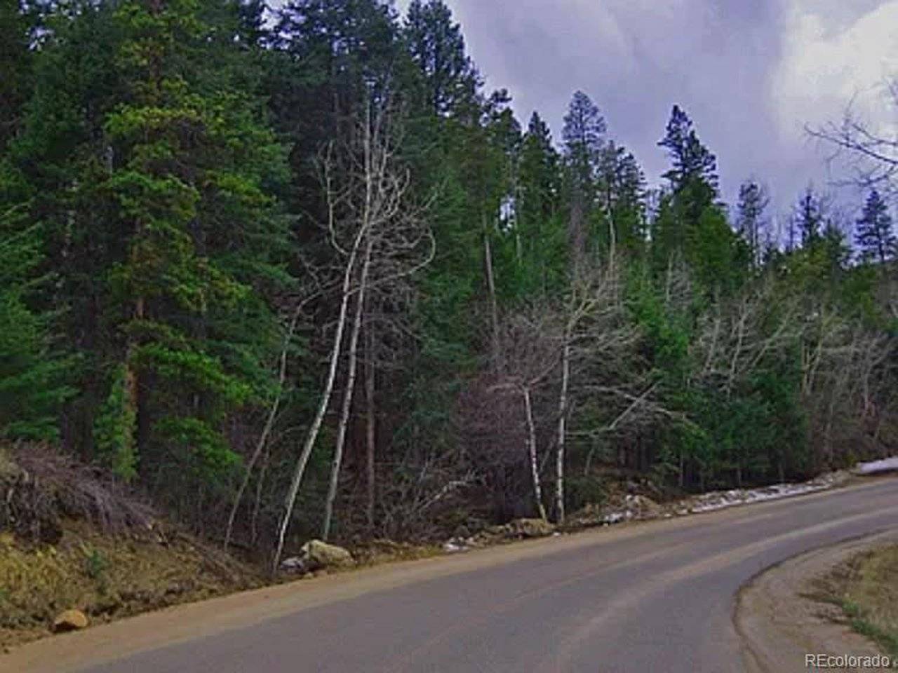 10136 Crest View, Morrison, CO 80465