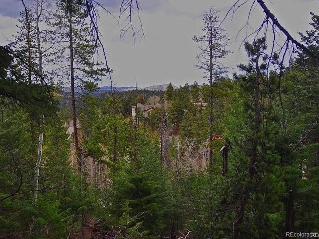 10136 Crest View, Morrison, CO 80465