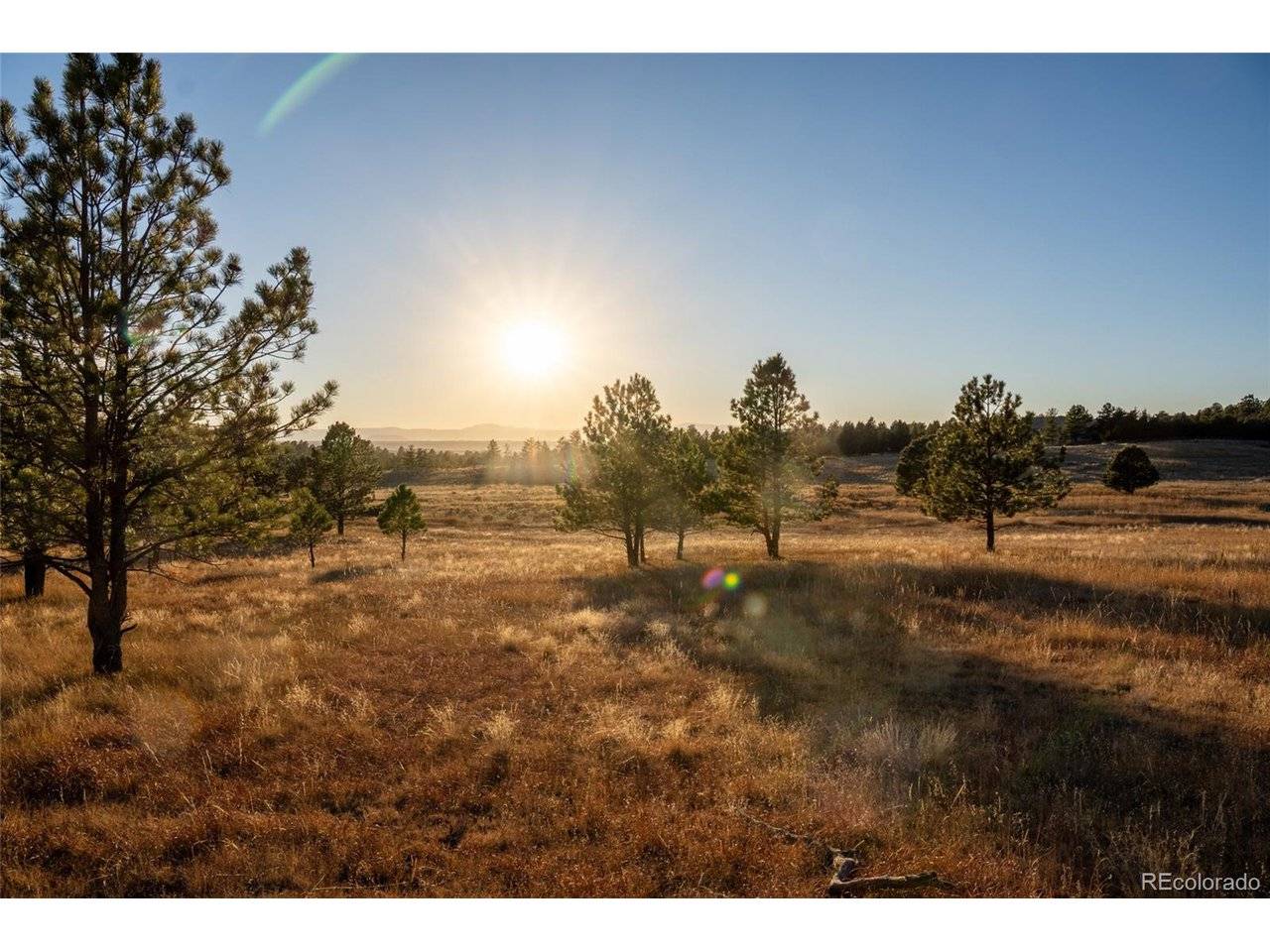 Woodhaven Ridge, Parker, CO 80134