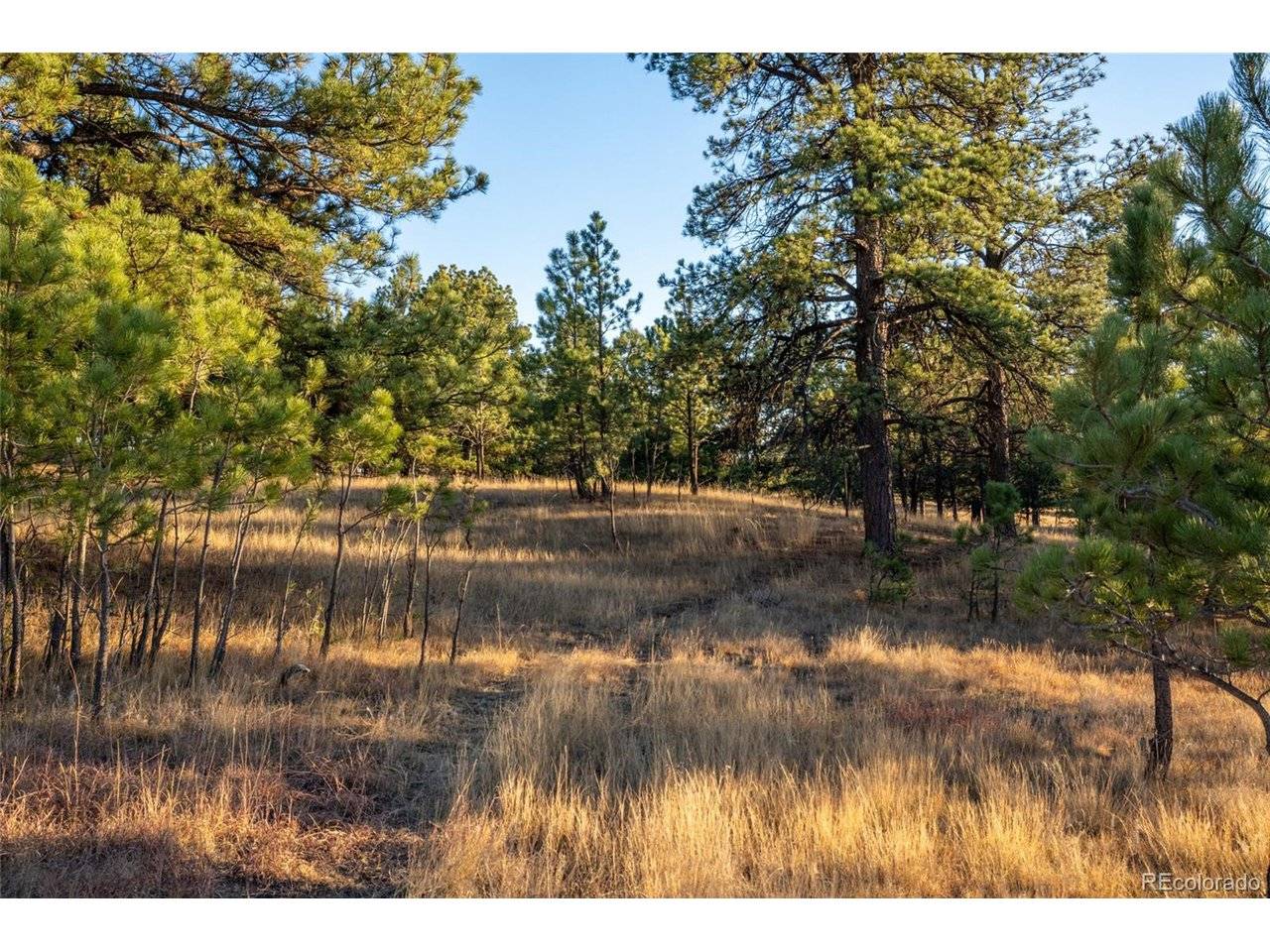 Woodhaven Ridge, Parker, CO 80134