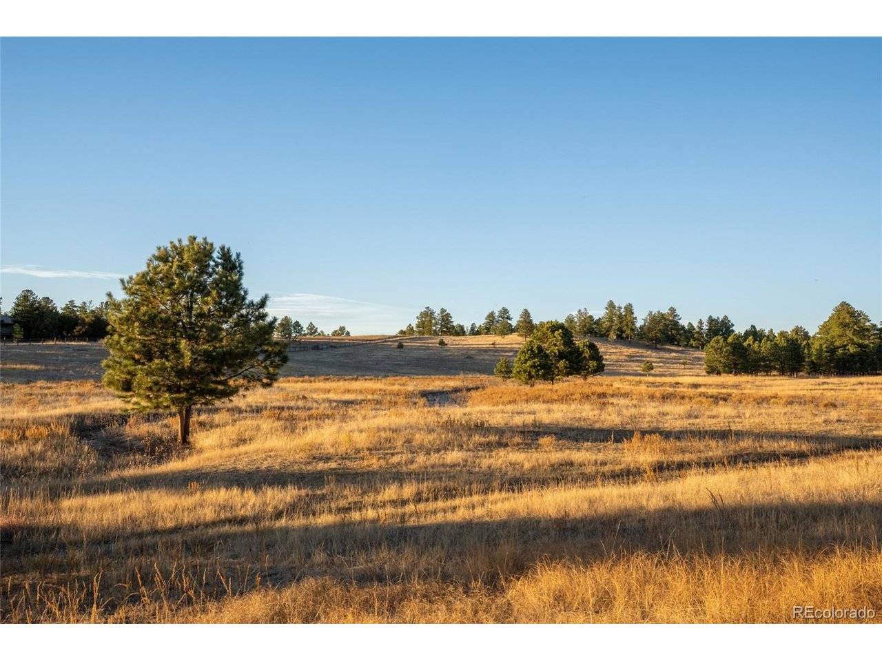 Woodhaven Ridge, Parker, CO 80134
