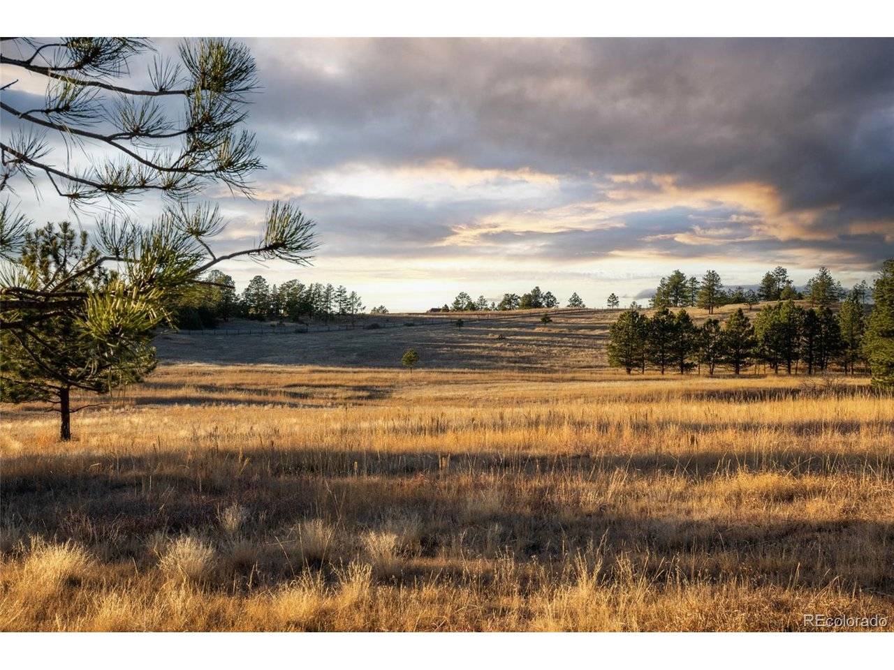 Woodhaven Ridge, Parker, CO 80134
