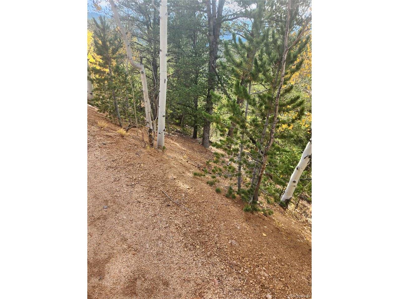 72 Hall, Bailey, CO 80421