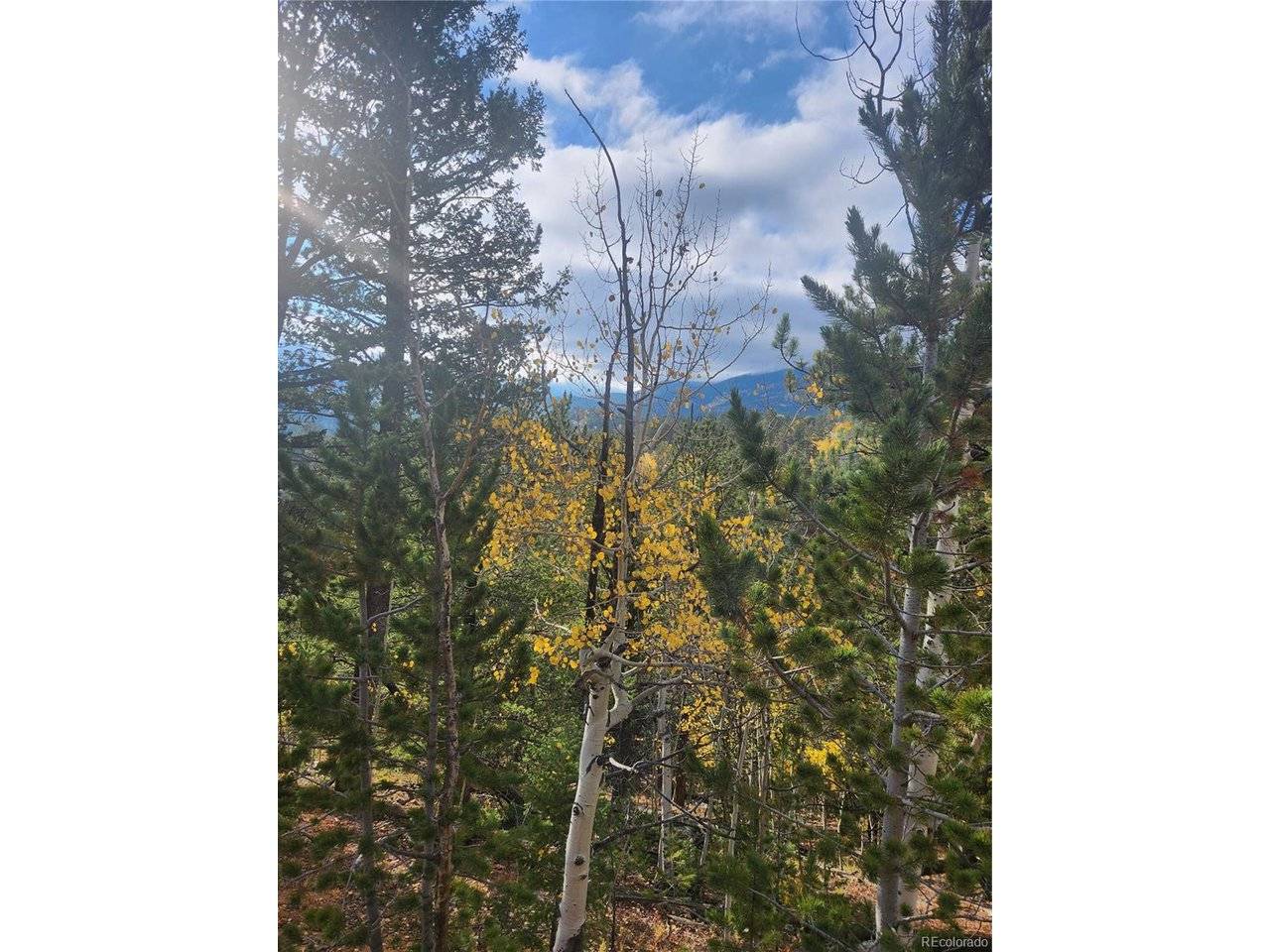 72 Hall, Bailey, CO 80421