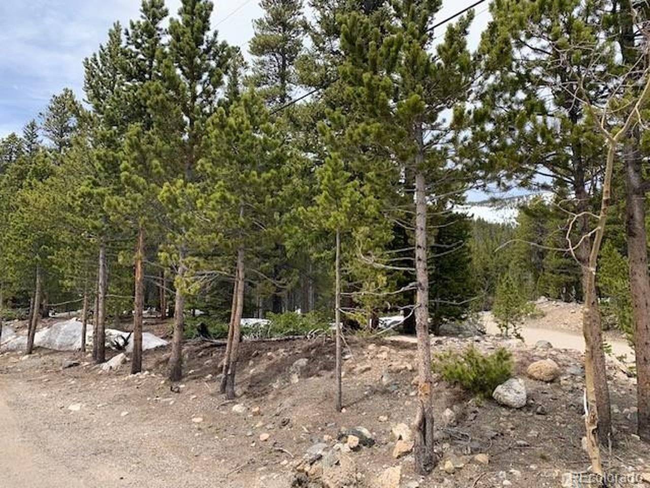 1090 Alice, Idaho Springs, CO 80452