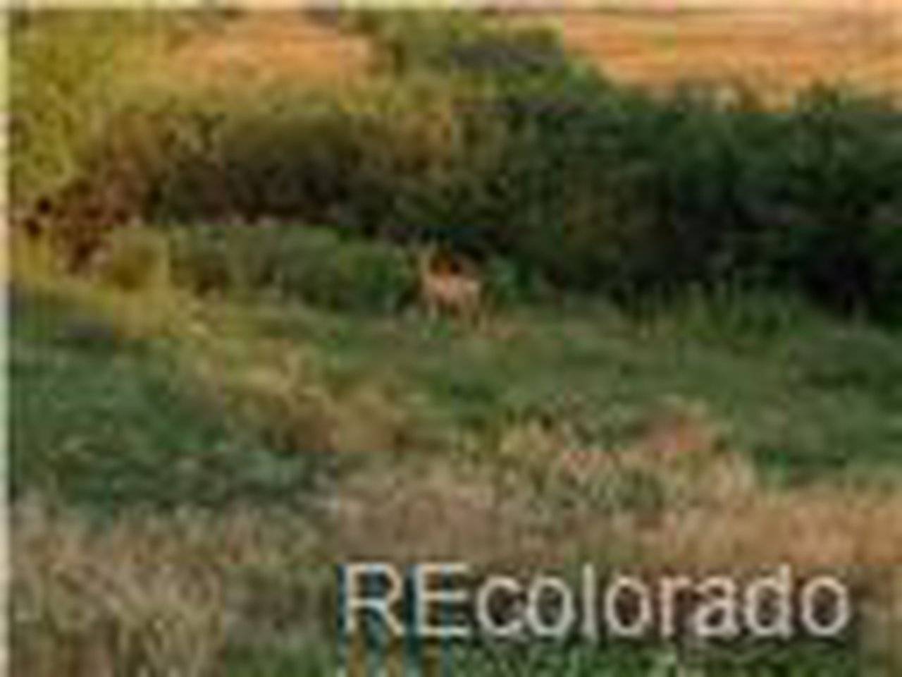 2 E Cherry Creek, Larkspur, CO 80118