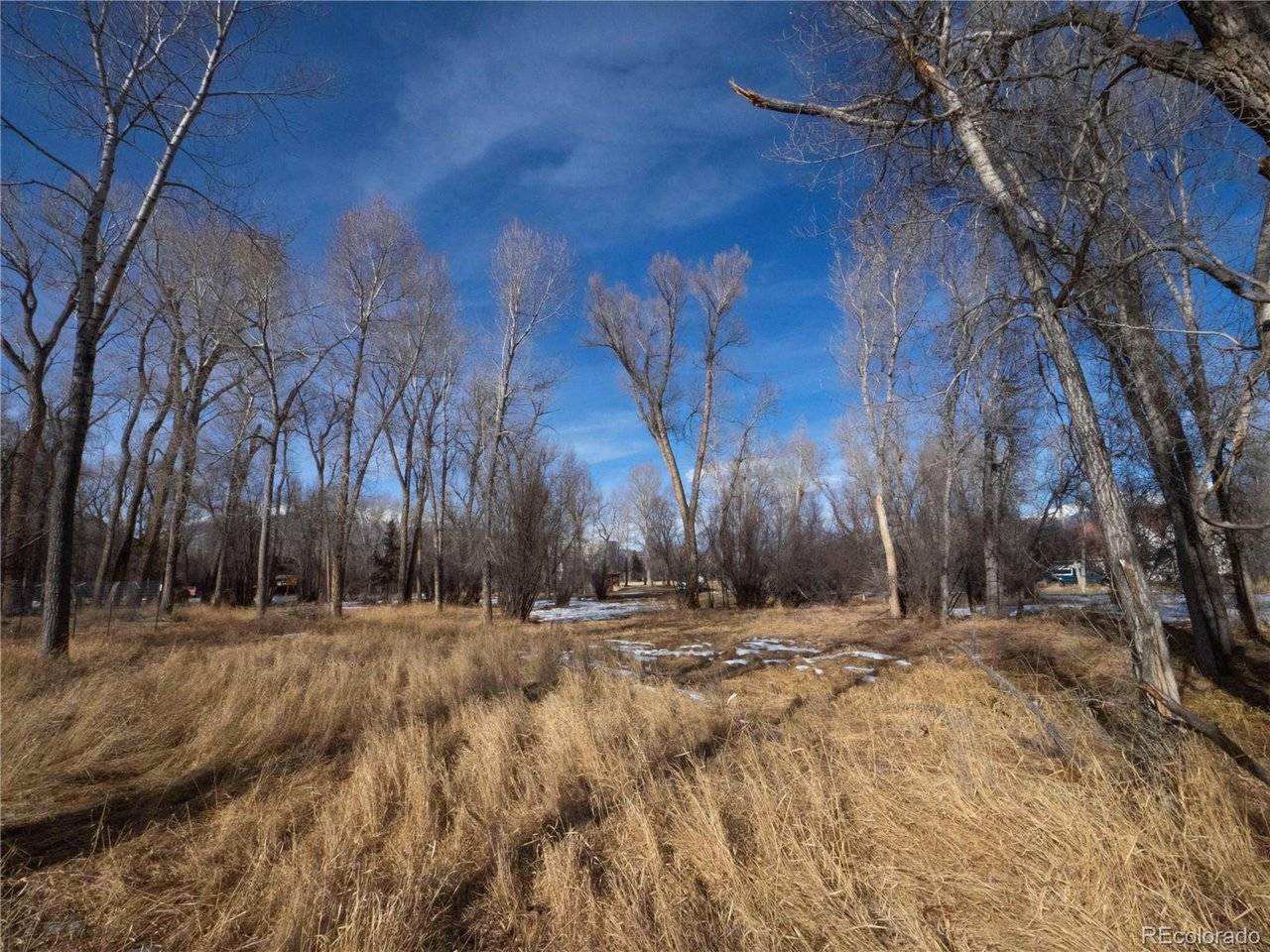 Tee, Buena Vista, CO 81211
