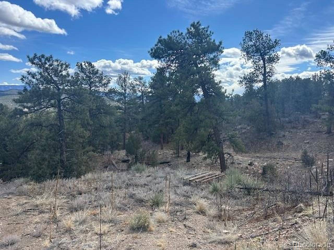 143 Ive, Cotopaxi, CO 81223