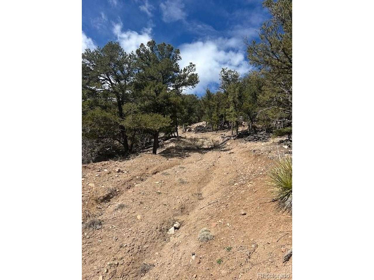 143 Ive, Cotopaxi, CO 81223