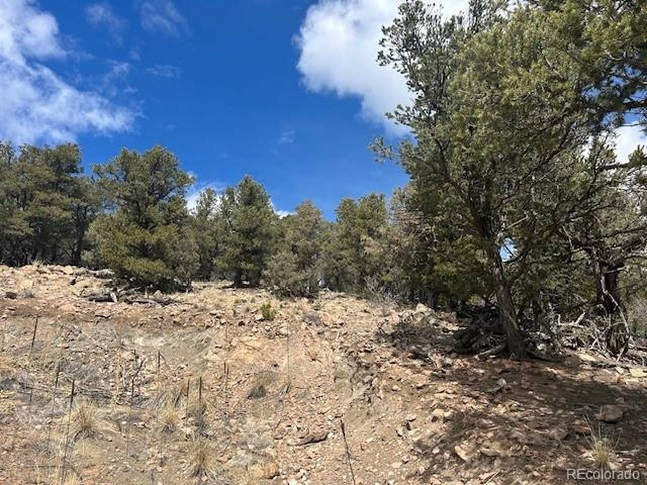 143 Ive, Cotopaxi, CO 81223