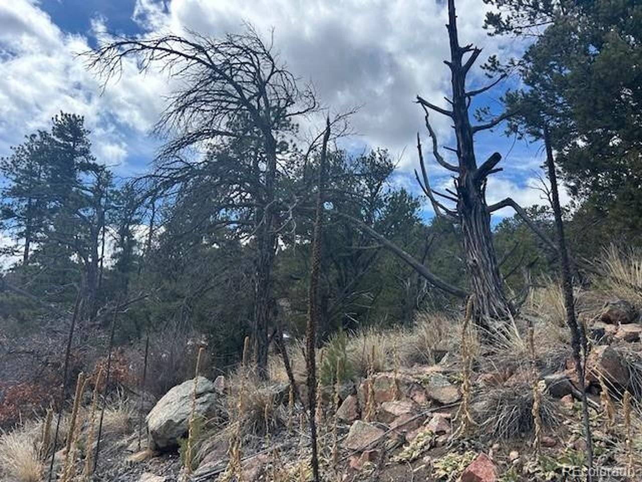 143 Ive, Cotopaxi, CO 81223