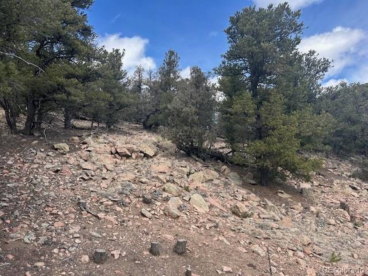 143 Ive, Cotopaxi, CO 81223