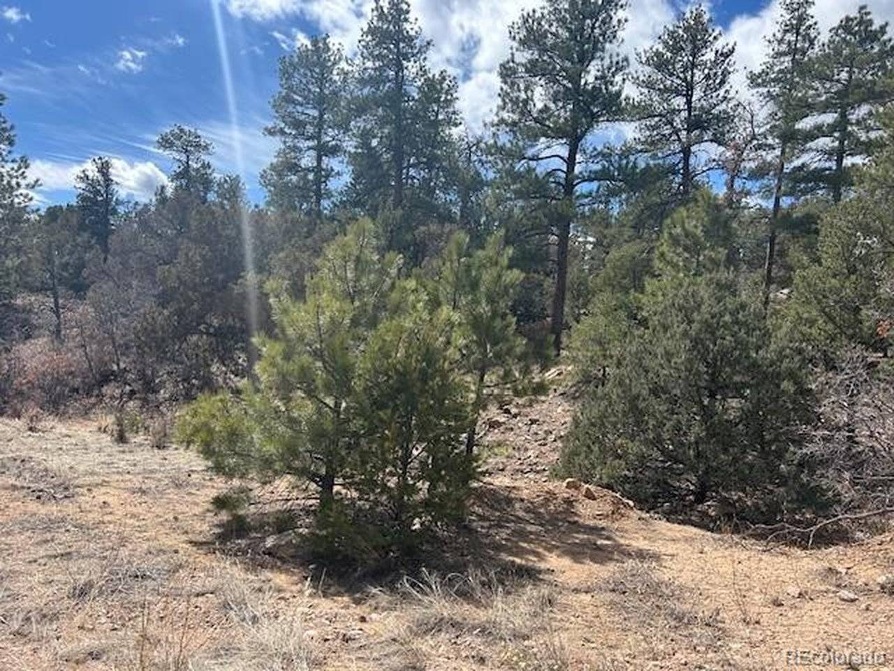 143 Ive, Cotopaxi, CO 81223