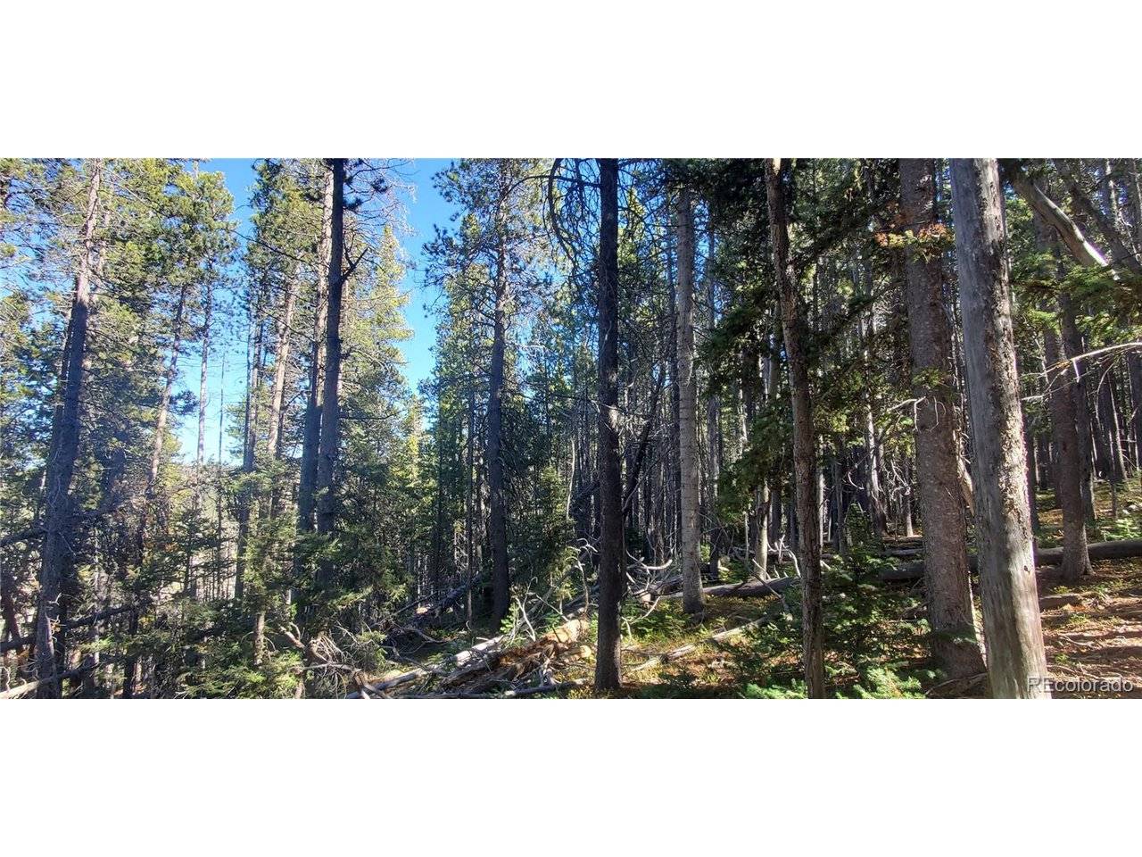 2999 Drexler, Fort Garland, CO 81133