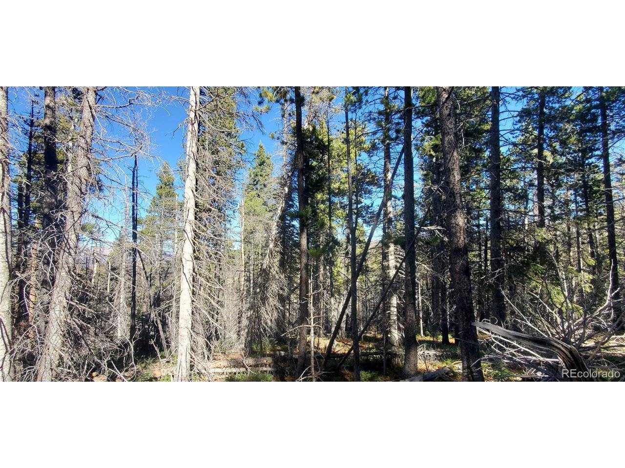 2999 Drexler, Fort Garland, CO 81133