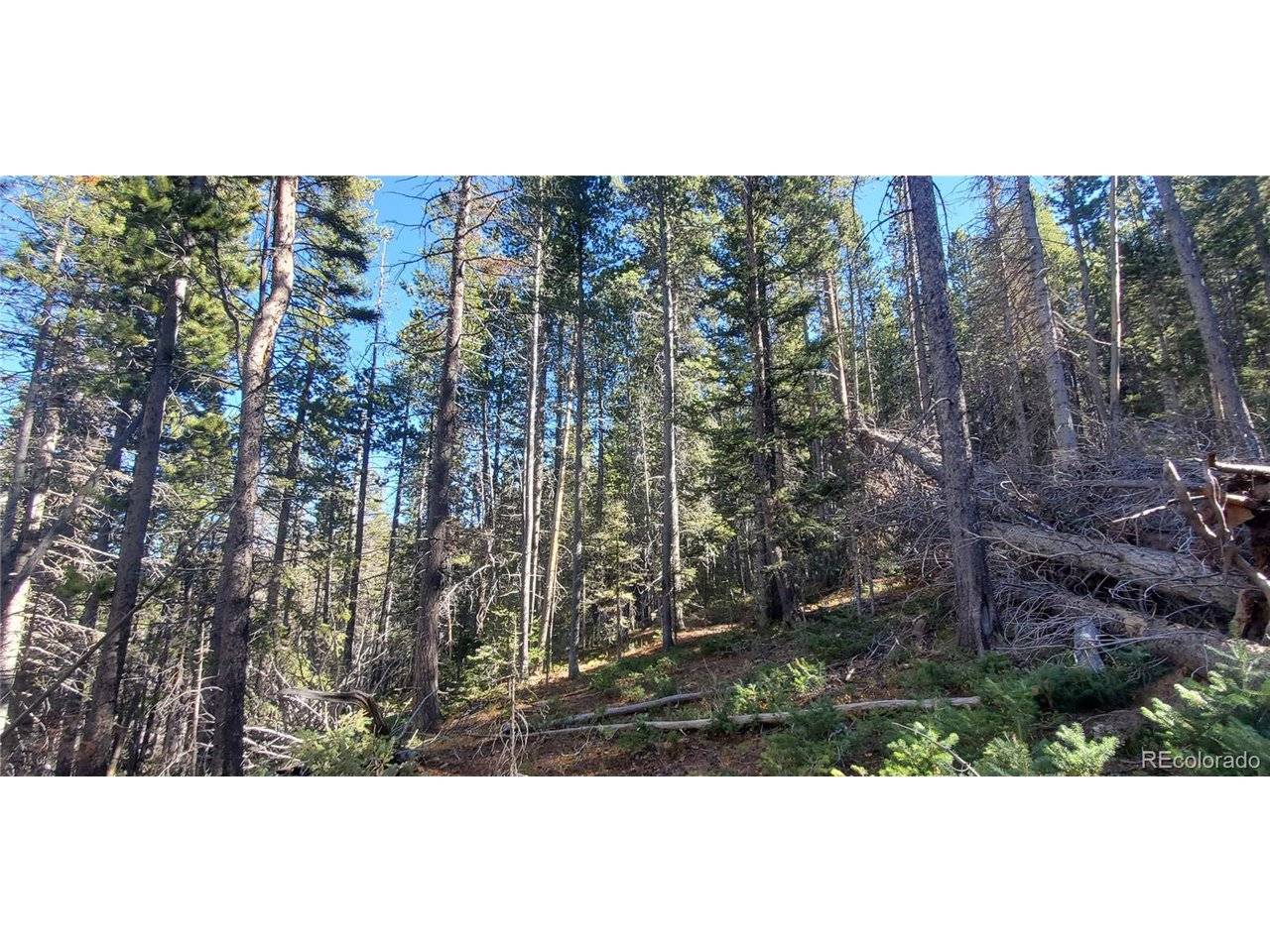 2999 Drexler, Fort Garland, CO 81133