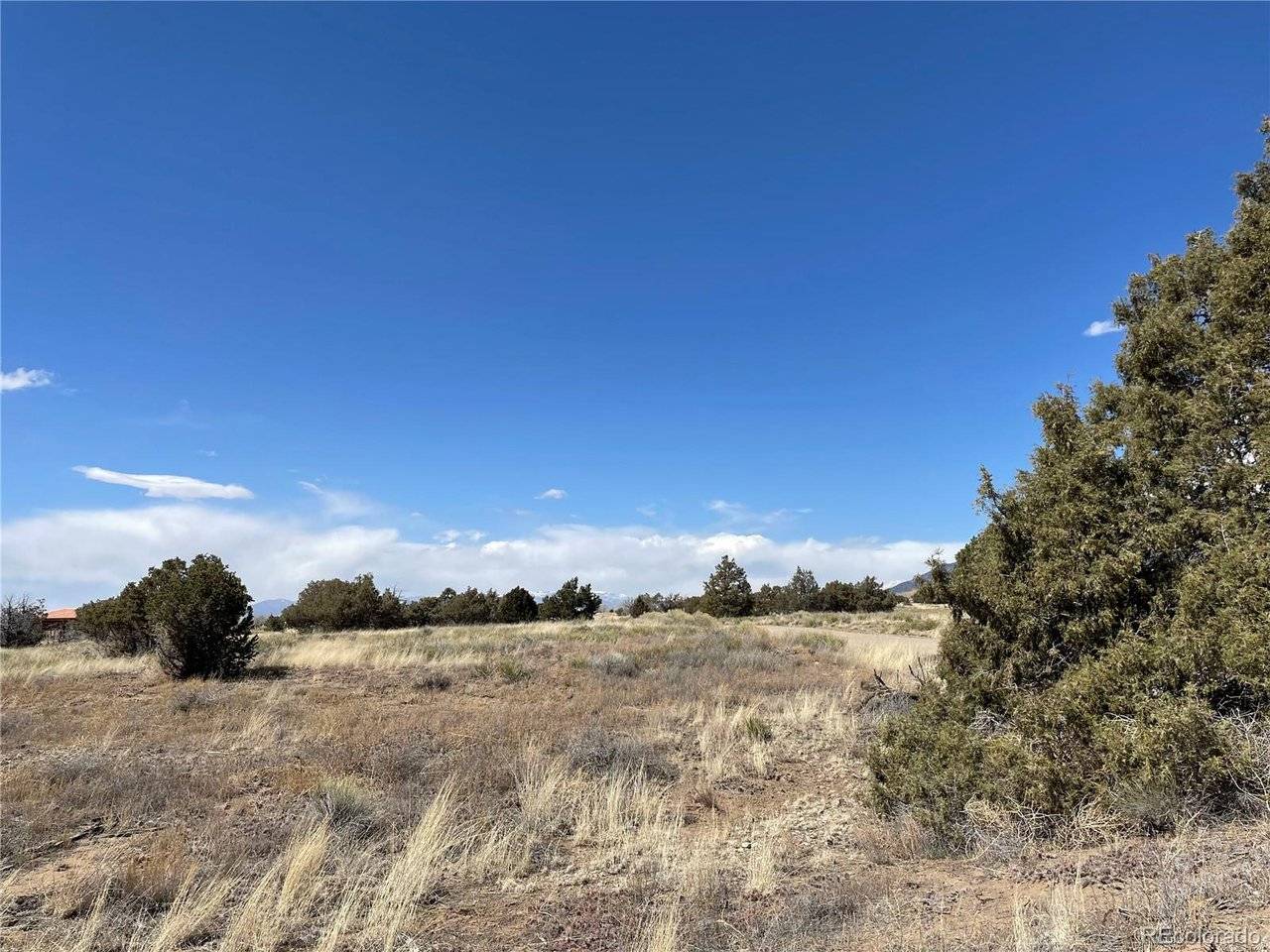 1307 Spanish Creek, Crestone, CO 81131