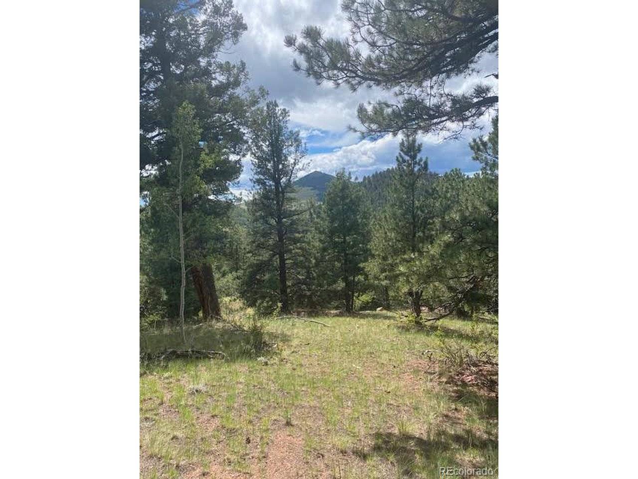 216 Troy, Cripple Creek, CO 80813