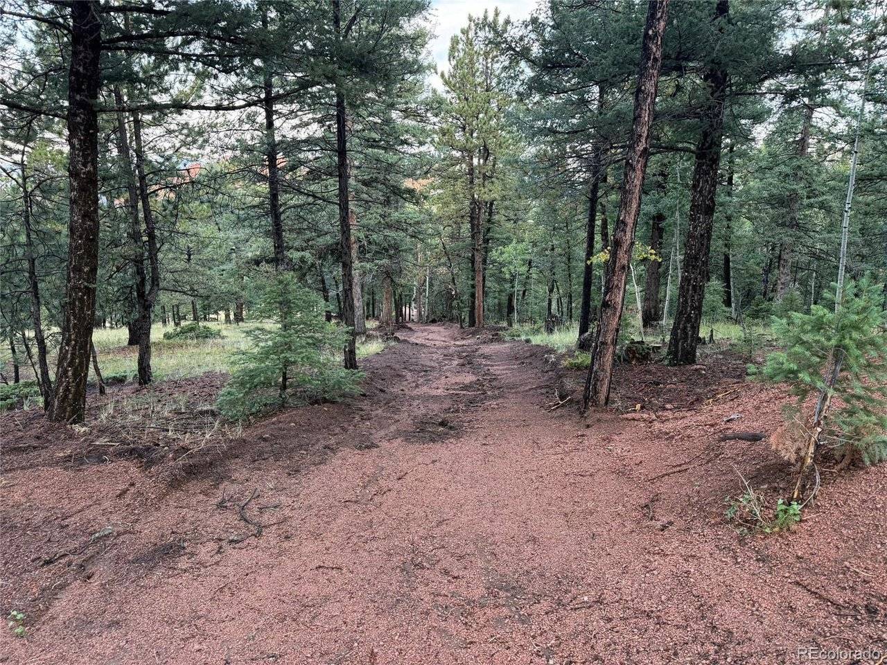 216 Troy, Cripple Creek, CO 80813
