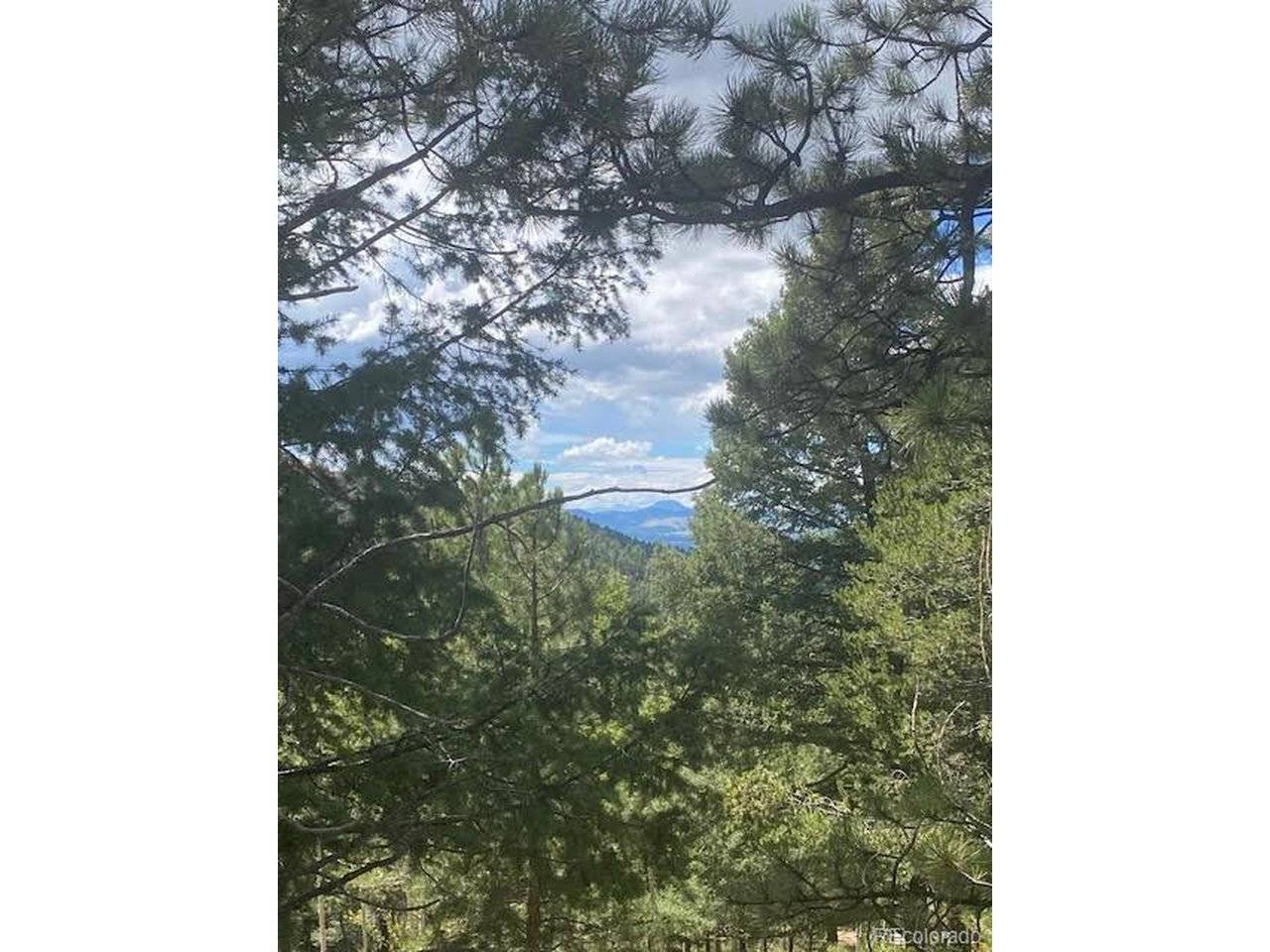 216 Troy, Cripple Creek, CO 80813