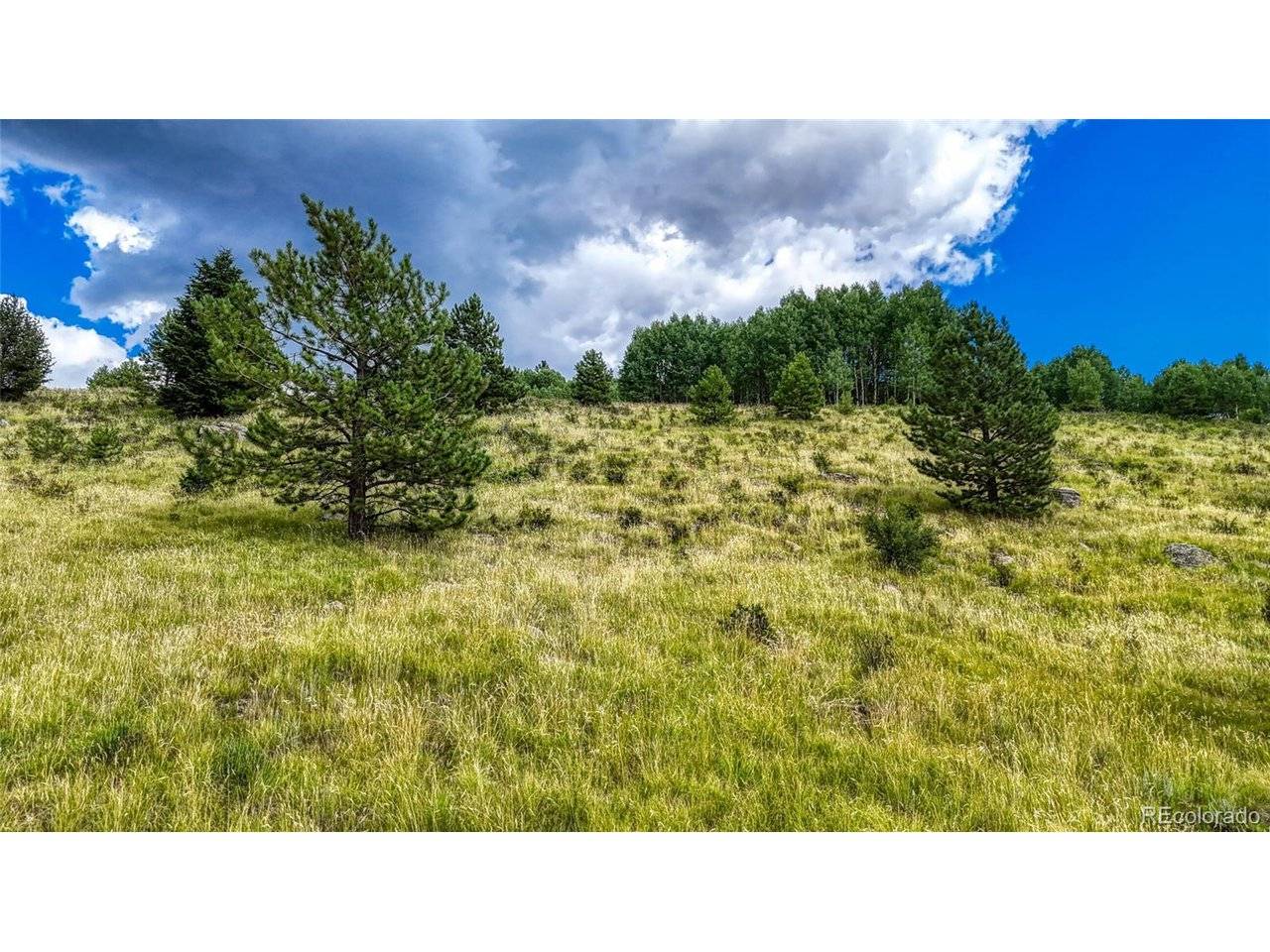 972 Anges, Cripple Creek, CO 80813