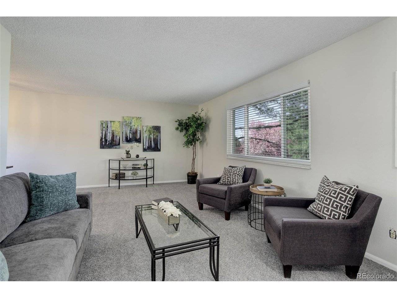 7420 Windwood, Parker, CO 80134