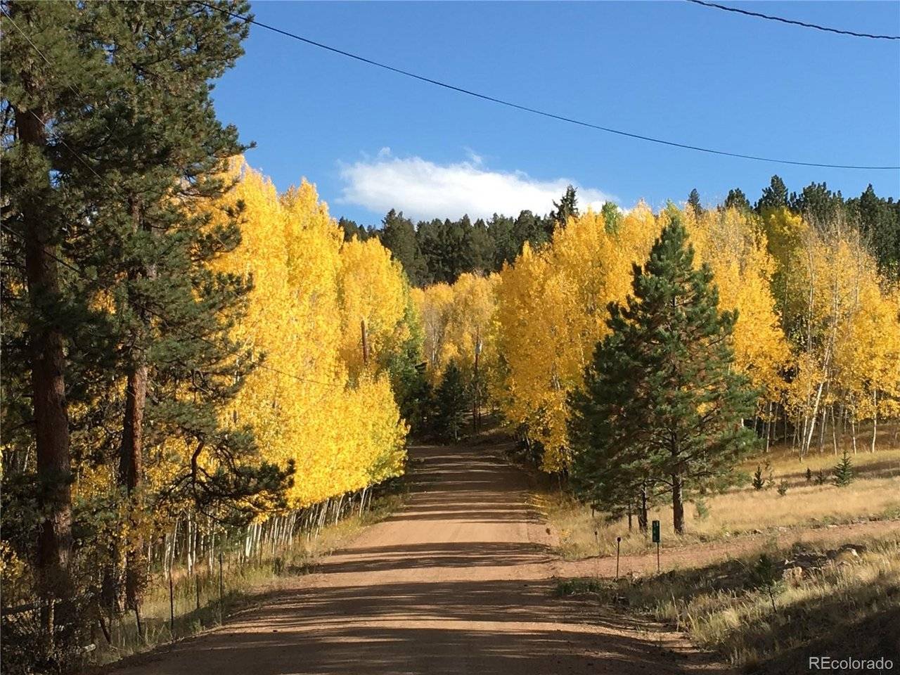 20 Echo Lake, Florissant, CO 80827